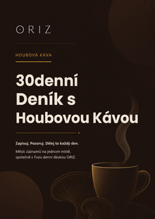 E-BOOK<br>30denní deník